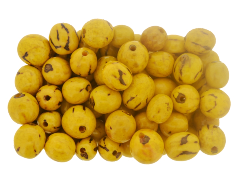 Buritirana (caranã) amarelo - Embalagem 10 sementes